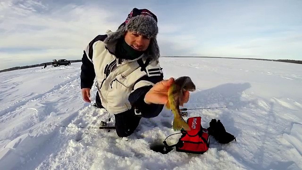 Gull Lake Alberta Ice Fishing Whitefish Perch Pike and Walleye