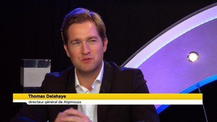 Business 365 - Thomas Delahaye, directeur général de Algimouss