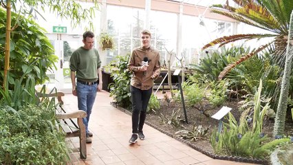 The Lowdown Birmingham - 12th September