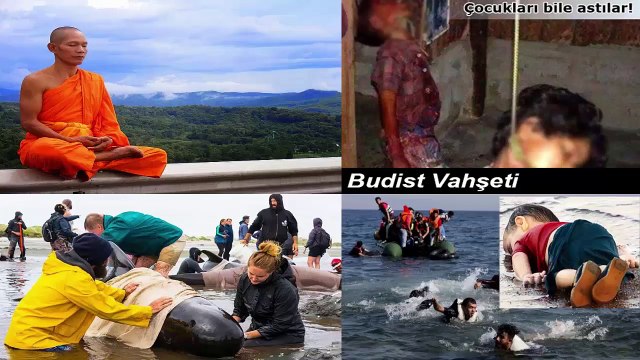 cübbeli ehmed inse-enları güldürerek kendini sewdiriyor cübbeli tekfiyrı bu sahıyfeden öğren