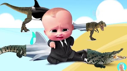 Wrong Body SEA wild animals crocodile whale and shark cartoon dinosaurs t rex Funny Animals Video fo