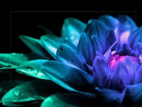 Podróże dookoła świata i płaska ziemia. Flat Earth. Mapa świata, zaokrąglenie ziemi. Jezusnonstop