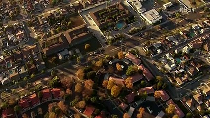 동물의 세계.170914