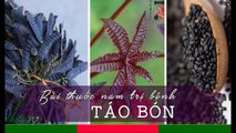 Bài thuốc hay chữa khỏi BỆNH TÁO BÓN nặng chỉ trong vài ngày | Bài Thuốc Nam