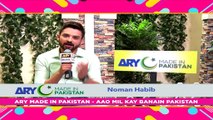 Celebrity Comment - Noman Habib - ARY Mip