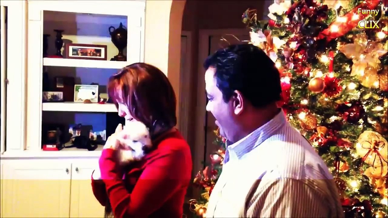 Christmas Puppy Surprise Compilation new - 2016 [NEW]