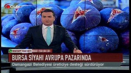 Bursa Siyahı Avrupa pazarında (Haber 13 09 2017)