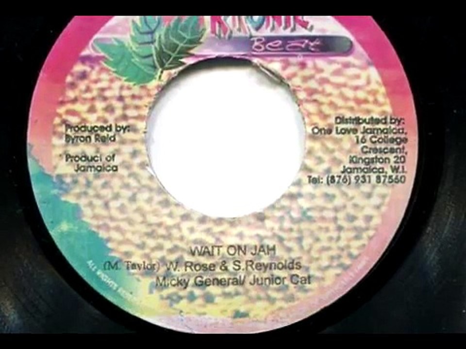 Micky General & Junior Cat - Wait On Jah