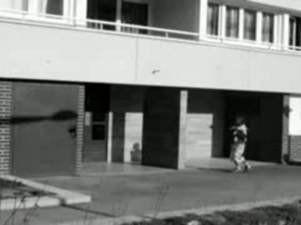 Trailer KRIM-O