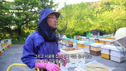 한국기행 - Korea travel_밥상위의 오지 4부 최고의 한 끼를 위하여_#001