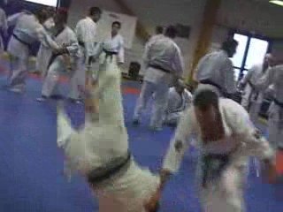 Self defense dojo