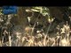 Leopard Vs. Baboon Vs. Deer - Battle for Survive - Lions fighting to death