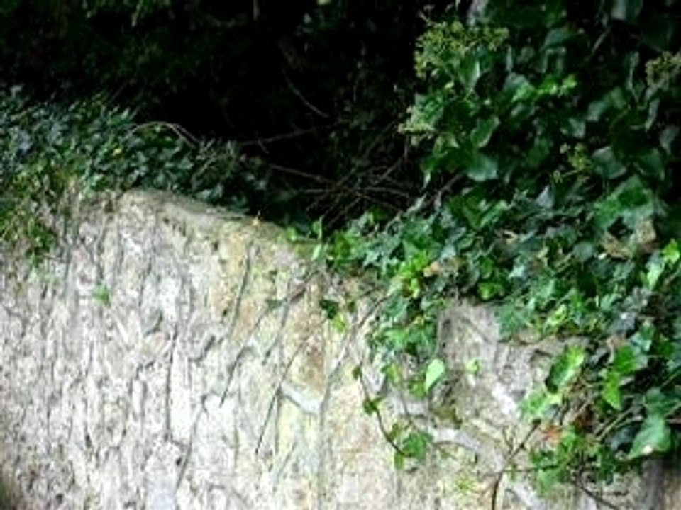 Marlaypark Ecureuil