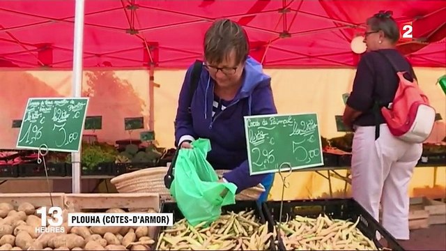 Côtes-d'Armor : une très bonne saison pour le coco de Paimpol
