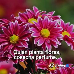 Tu Vida: La Decisión Es Tuya 🌱