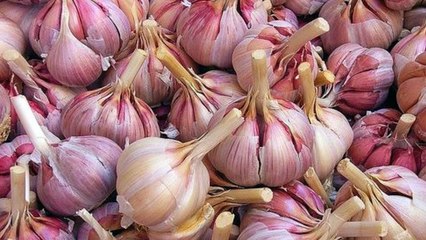 Beneficios do Alho para a visão