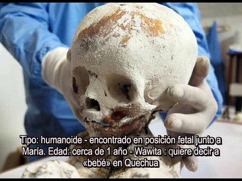 Les Etres mystérieux de Nasca - WAWITA - N° 5 - Spécimens