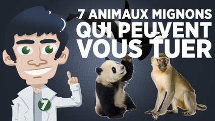 7 animaux mignons qui peuvent vous tuer
