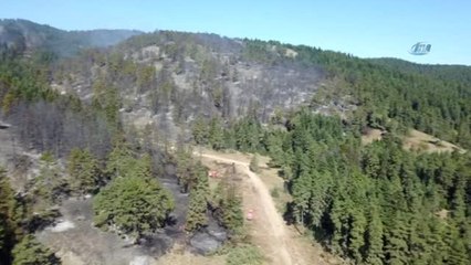 Orman Yangını Tahribatı Havadan Görüntülendi
