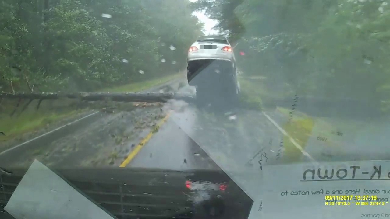 Cette voiture décolle stoppée net par la chute d'un arbre pendant l'ouragan Irma !