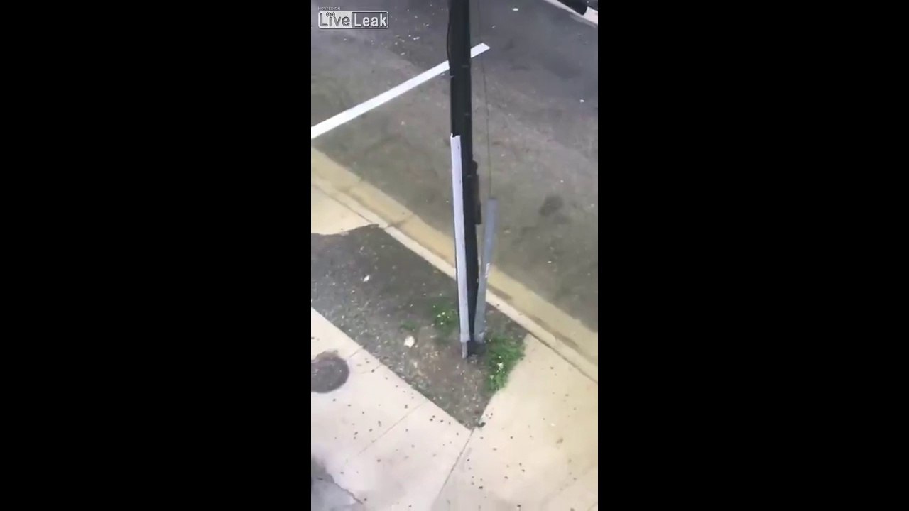 Un poisson chat nage dans la rue à Miami après l'ouragan Irma !