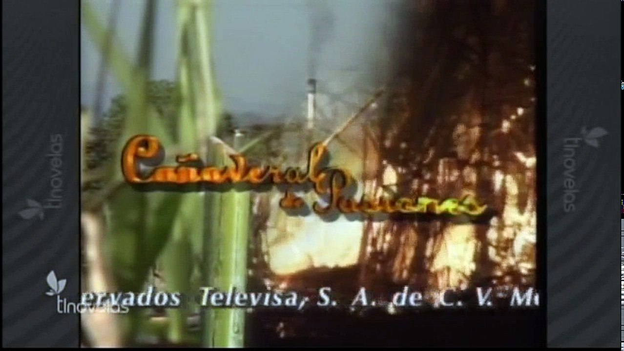 Cañaveral Capitulo 35