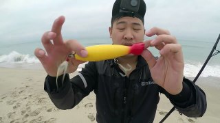 Beginner Beach Fishing Tips: Using Plugs and Lures