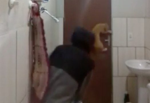 Drôle ! Il coopère avec son chat pour chasser un rat de la salle de bain