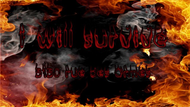 I will survive n°16 - 5150 rue des Ormes