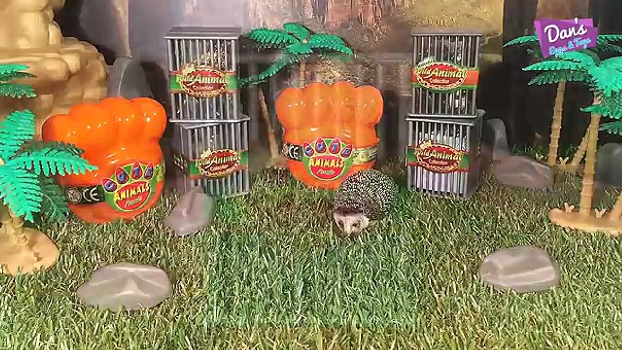 Jouets animal