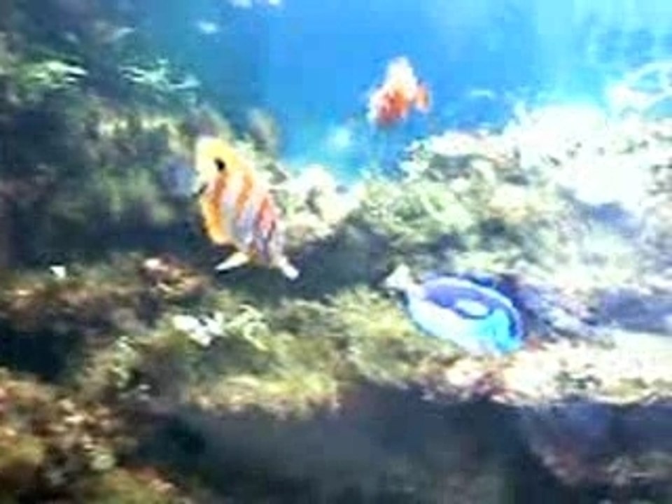 092007143312