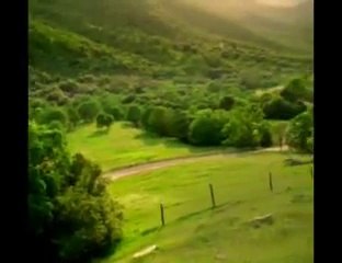 Face of death; le lutin vert