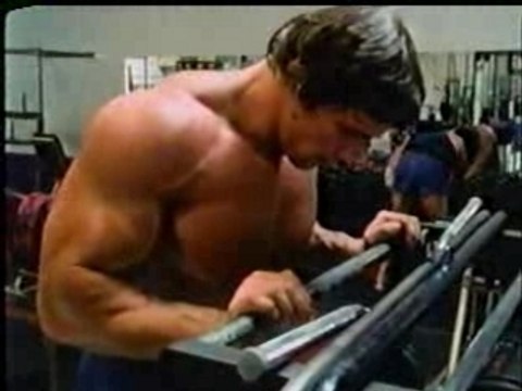 Bodybuilding - Arnold Schwarzenegger (Bicep)