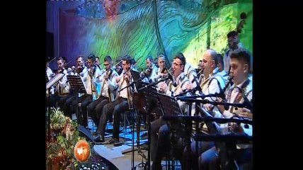 Daniel Tarlea - Festivalul National de folclor Strugurele de aur - Alba Iulia - 14.09.2017