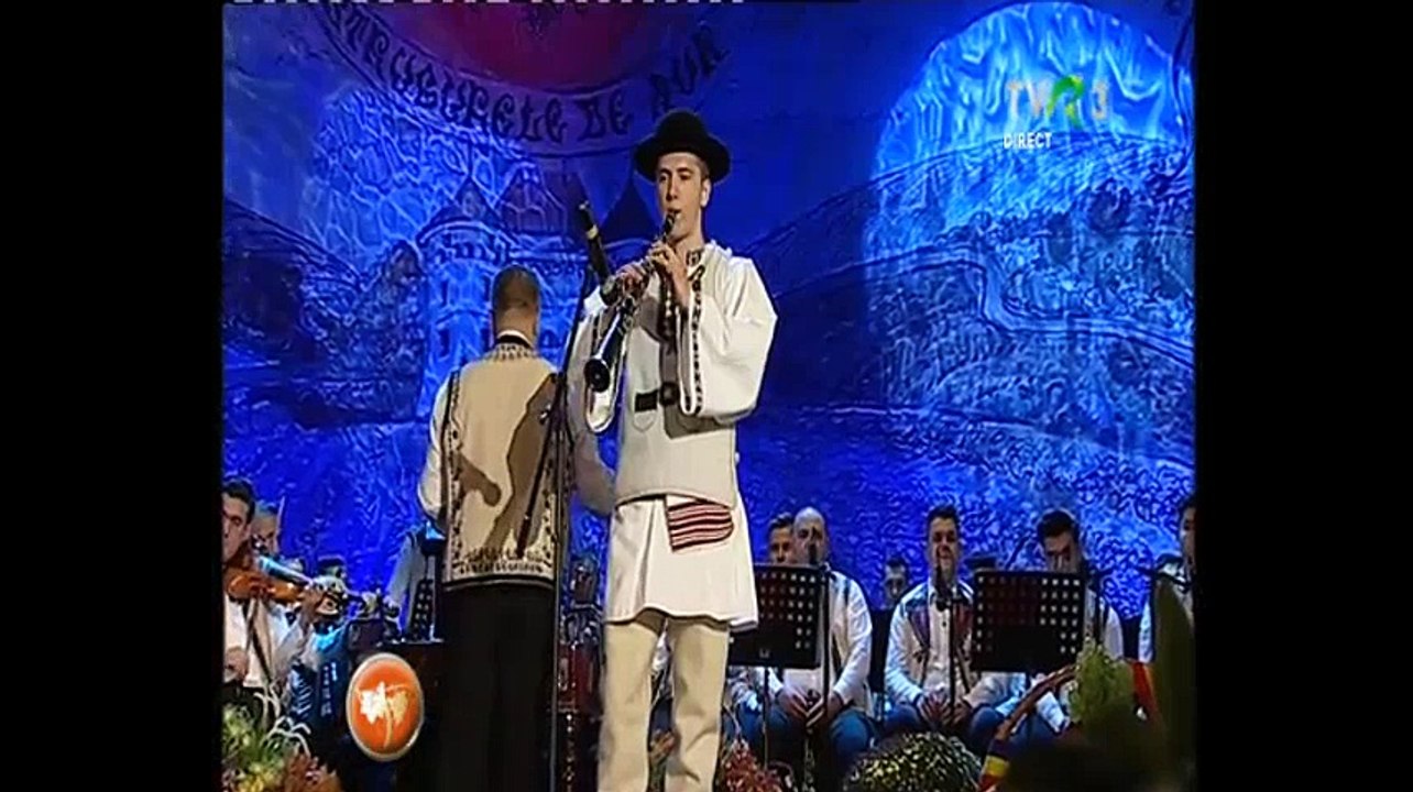 Ionut Trif - Festivalul National de folclor Strugurele de aur - Alba Iulia - 14.09.2017