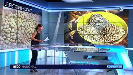 Alimentation : les lentilles sont à la mode