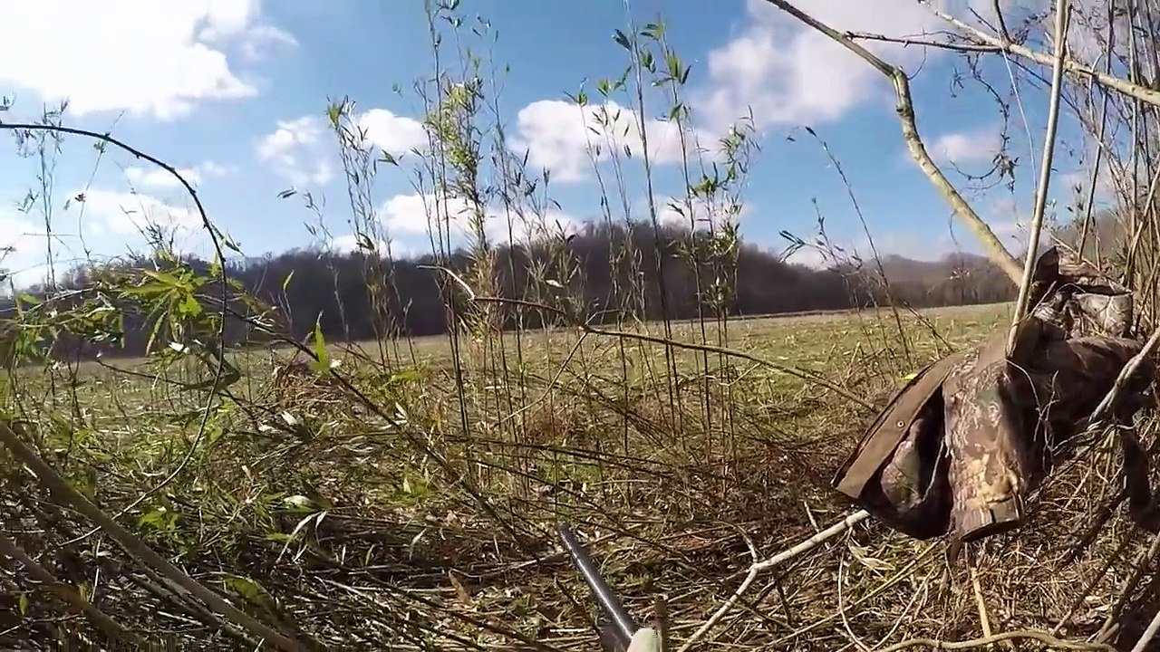 Crow Hunting 2017