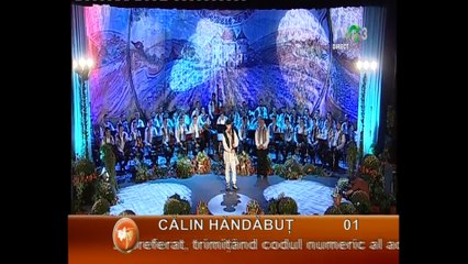 Cătălin Hăndăbuţ - Festivalul Naţional de Folclor ``Strugurele de Aur`` - 2017