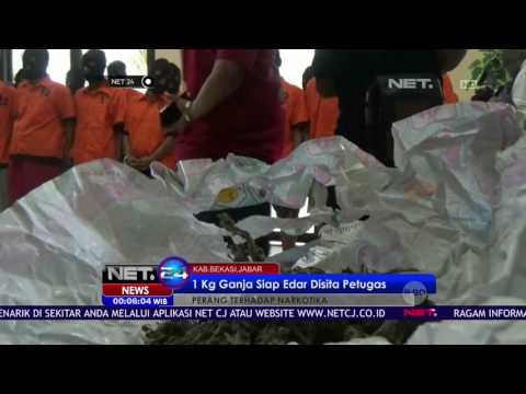 Satu Kg Ganja Disita Petugas - NET24