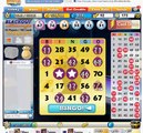 Bingo Blitz:Winning Blackout (Tips & Tricks1)