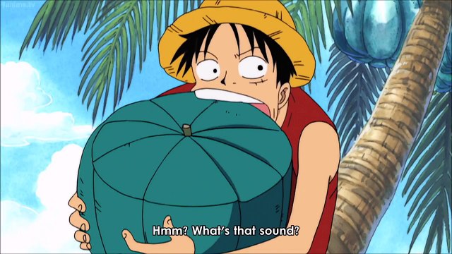 The Straw Hats meet Conis at Skypieas Angel Beach #553