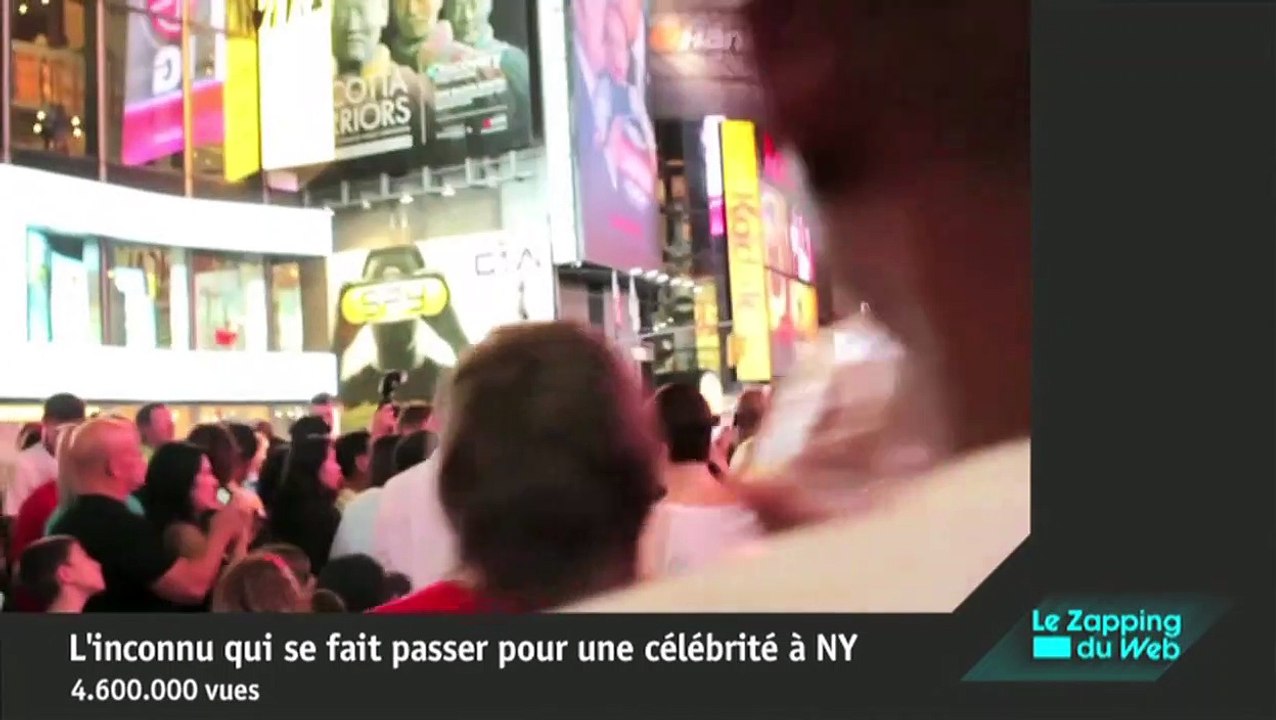 Buzz 2012 : Les vidéos les plus vues de l'année !