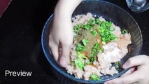 Malai Kofta Recipe - Malai Kofta Curry - Chicken Kofta Recipe