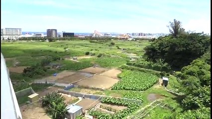 【沖縄の釣り番組】第3回、sacomの「釣り乙！これって釣りでしょ？」[桜H28/6/25]