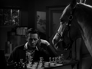 Mister Ed S05E08-What Kind Of Foal Am I
