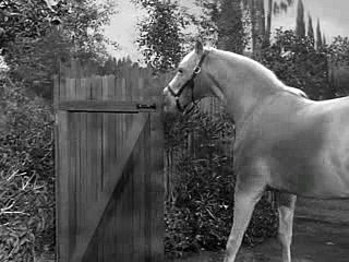 Mister Ed S05E11-Like Father, Like Horse