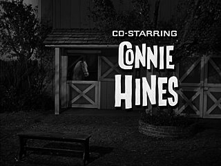 Mister Ed S05E18-The Dragon Horse