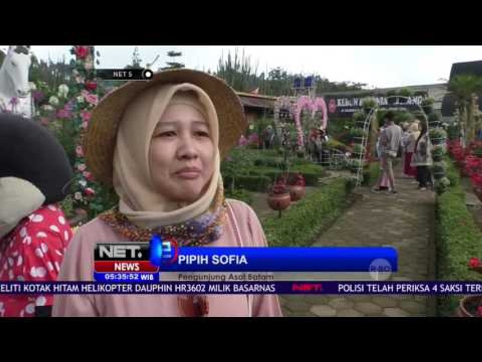 Segar dan Cantik Bunga yang Bermekaran di Kebun Bunga Begonia Lembang - Net 5