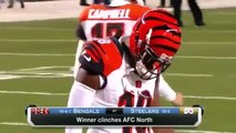 Pittsburgh Steelers vs Cincinnati Bengals Highlights