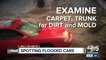 Don't be scammed: tips to find out if a car was damaged in a flood